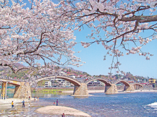 千代自慢の岩国のシンボル「錦帯橋」
