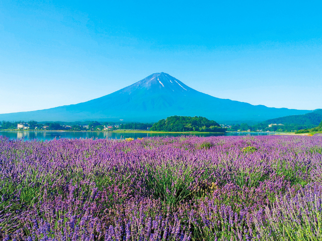 河口湖初めて行くならここ5選!日本一の富士山を望む絶景スポットへ