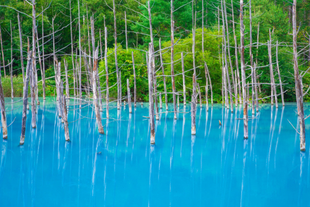 【北海道】秋の気配を感じて。有名な絶景から知られざる絶景まで大満喫!