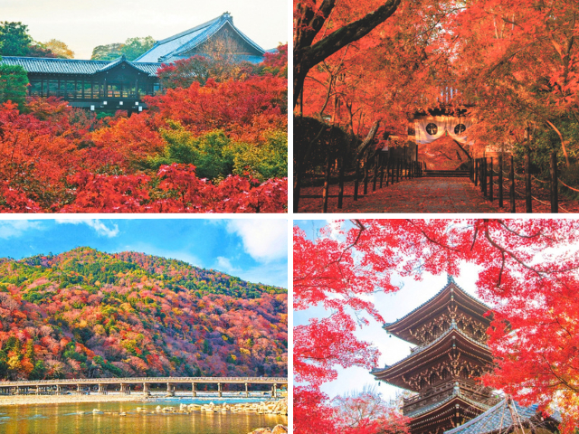 京都の秋を感じる紅葉絶景10選!神社・寺院と天下の名勝で絶景を満喫!