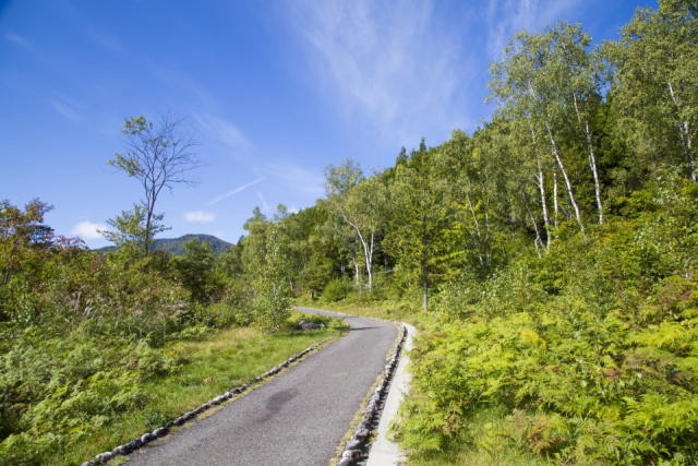 【長野県】爽やかな秋風を感じる、絶景ハイキングとリゾートステイ