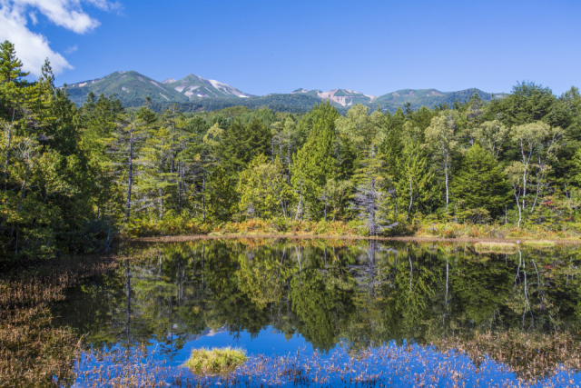 【長野県】爽やかな秋風を感じる、絶景ハイキングとリゾートステイ