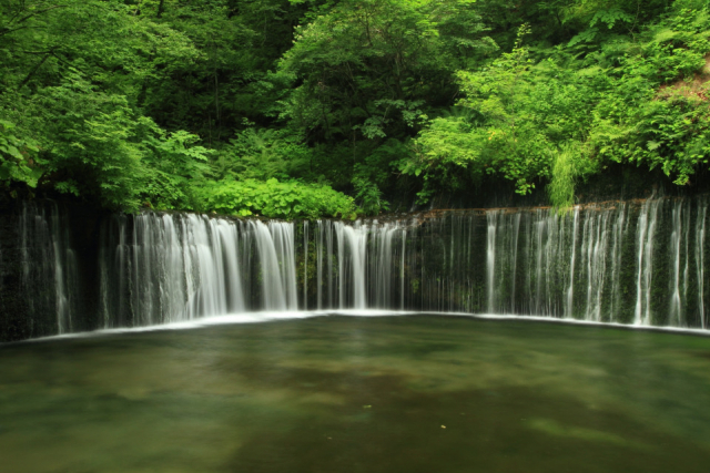 【長野県】爽やかな秋風を感じる、絶景ハイキングとリゾートステイ