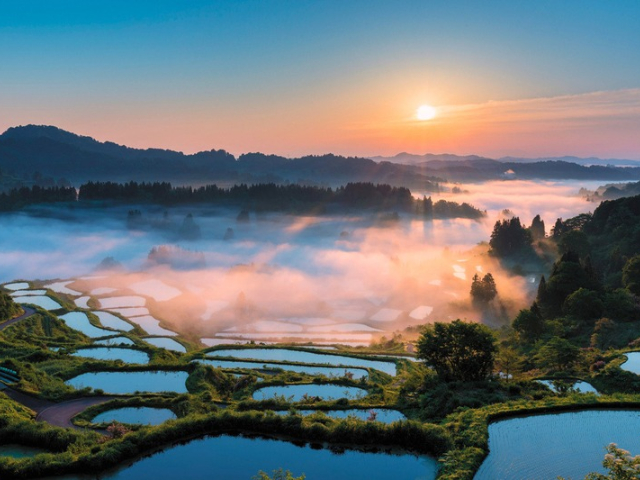 【全国】絶景棚田おすすめ7選!写真に残したくなるような日本の原風景をご紹介