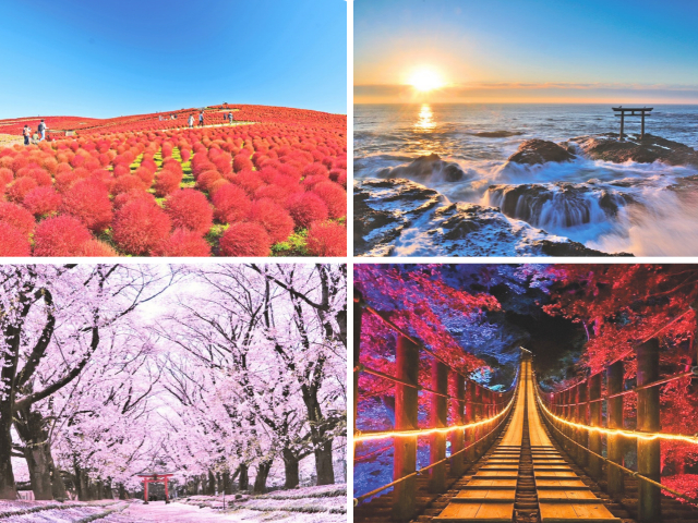 茨城のおすすめ絶景スポット7選!何度でも行きたい超王道の名景をご紹介